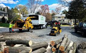 Best Tree Mulching Services  in Spring Lake Heights, NJ