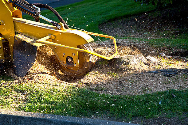 Mulching Services in Spring Lake Heights, NJ